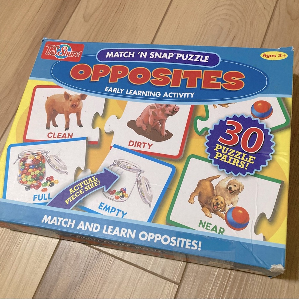 Matching Opposites Puzzle